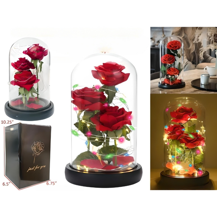 Enchanted Triple Rose Flower Dome - RED