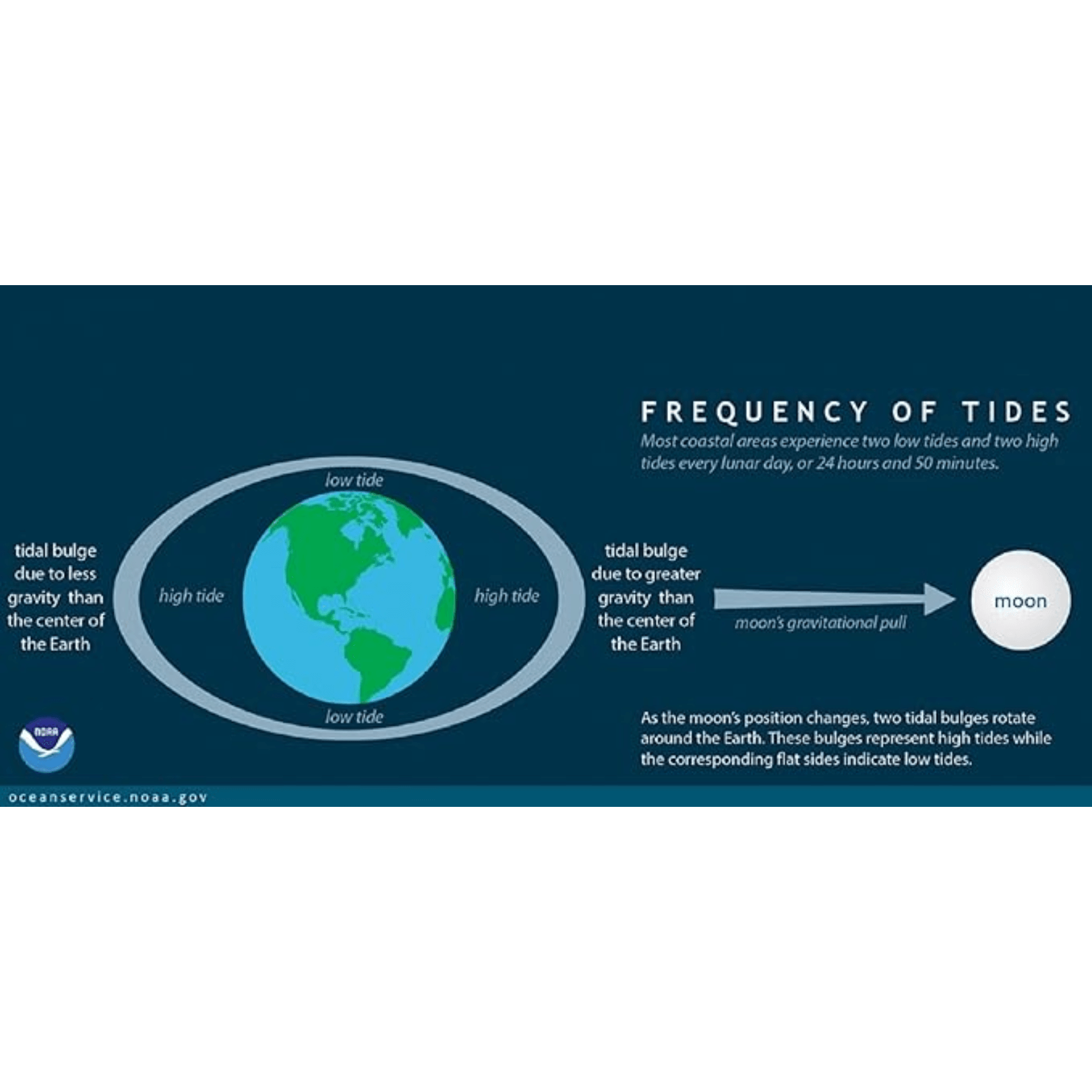 Trintec Atlantic Marine Tide Indicator 10" -  White