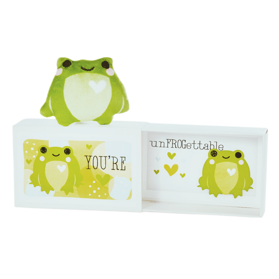 Frog Pocket Hug With Gift Box - Case of 12 - Everbond Gifts