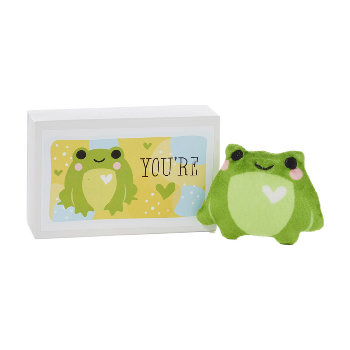 Frog Pocket Hug With Gift Box - Case of 12 - Everbond Gifts