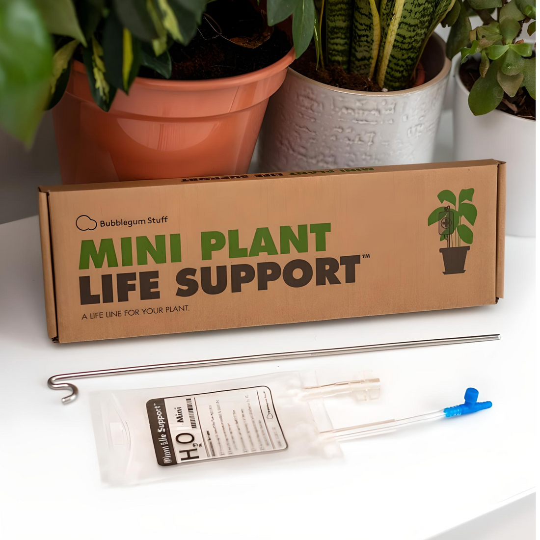 Mini Plant Life Support - Everbond Gifts