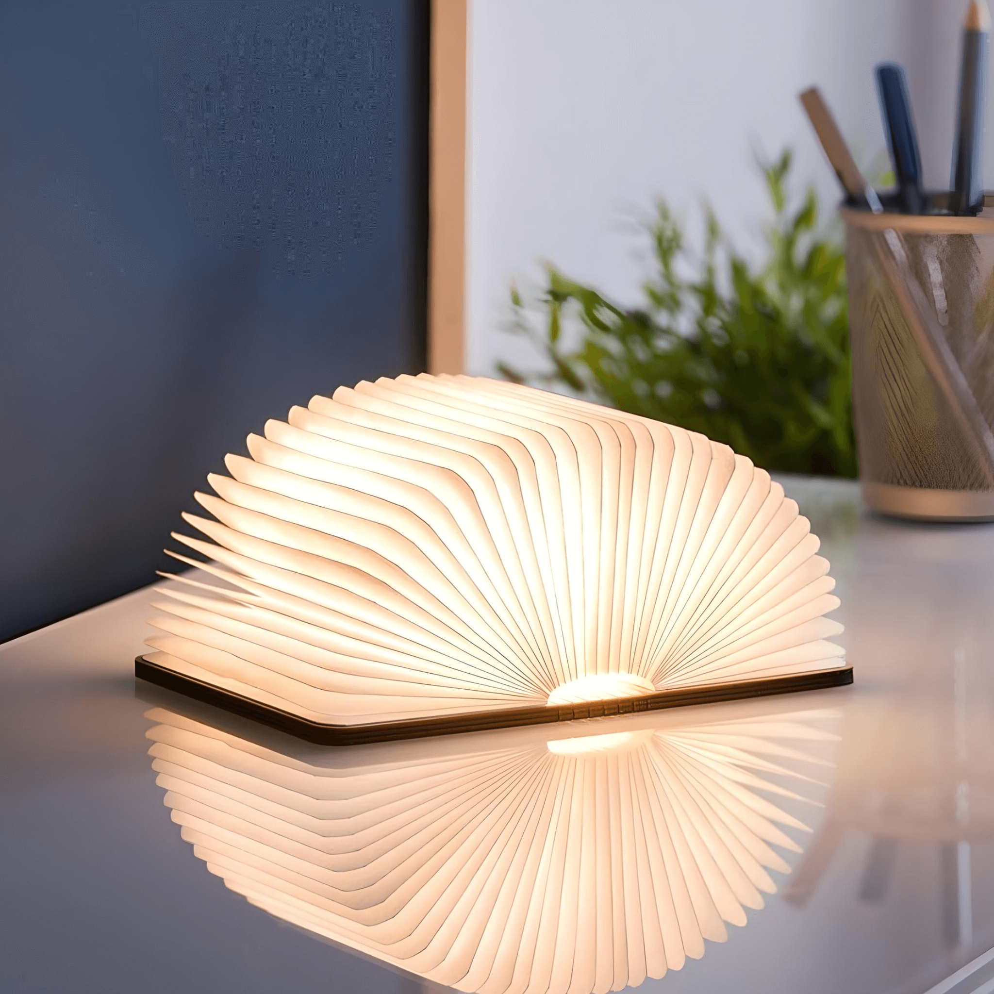 Mini Smart Book Light