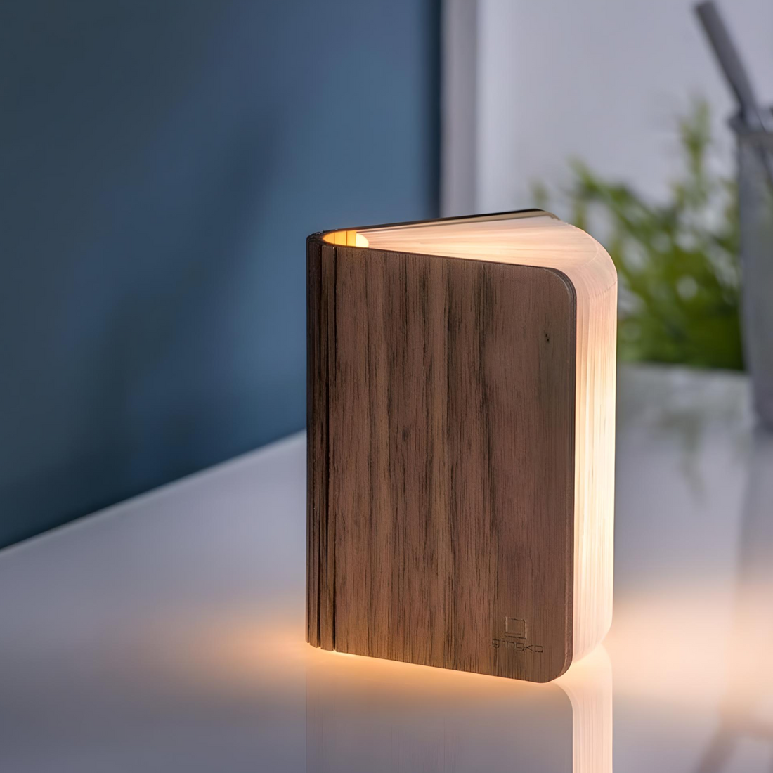 Mini Smart Book Light