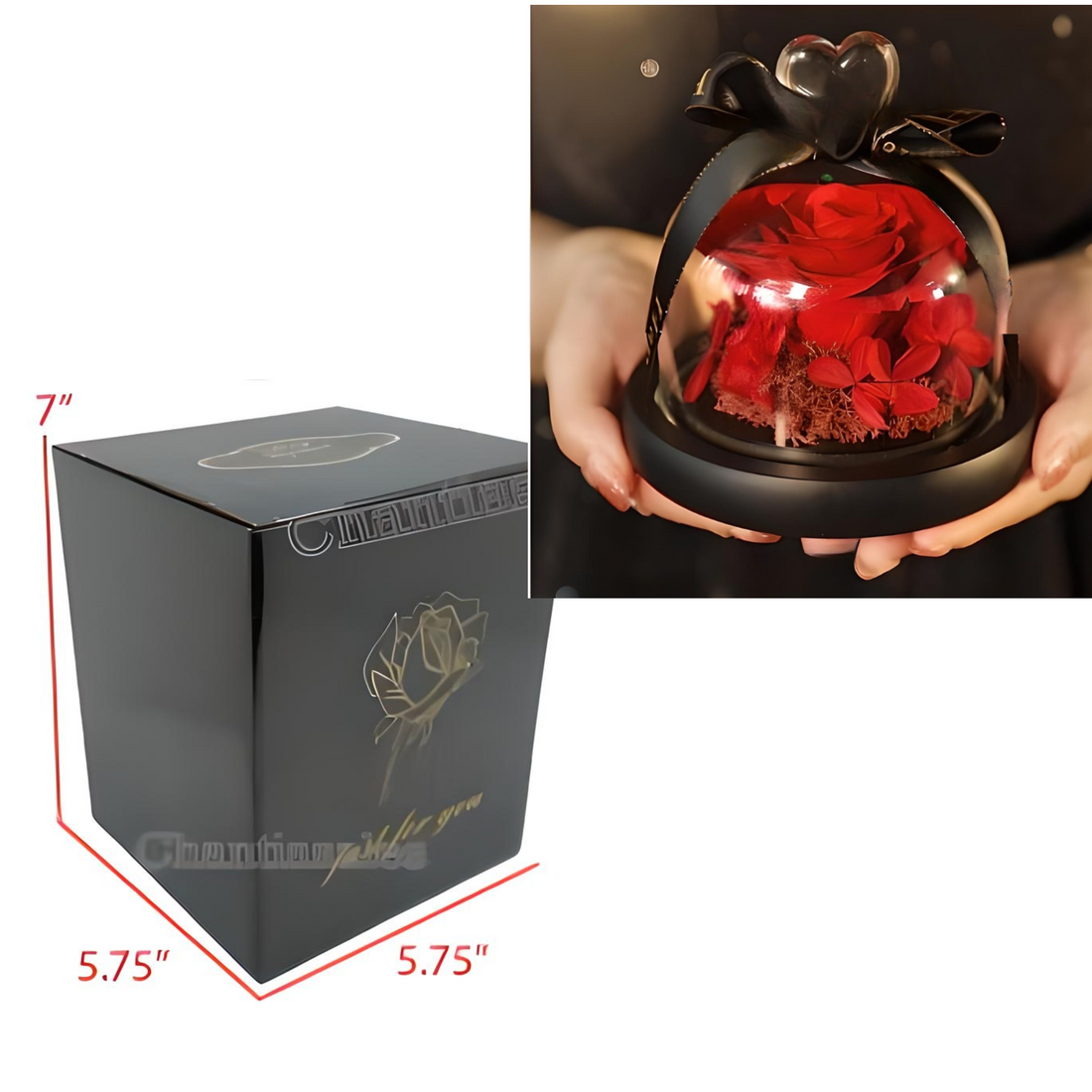 Preserved Flower Forever Rose Dome With Led Light