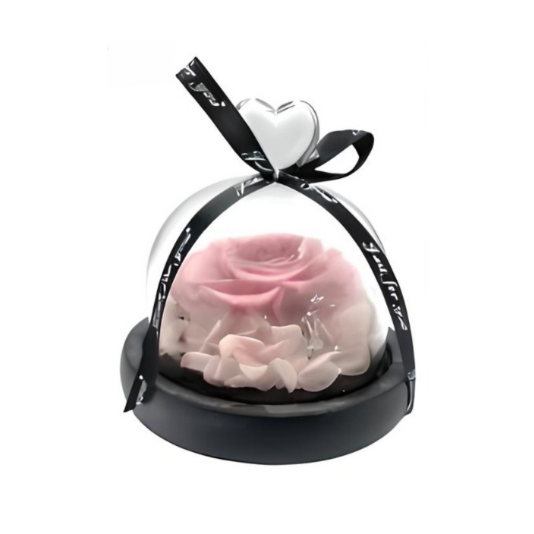 Preserved Flower Forever Rose Dome With Led Light