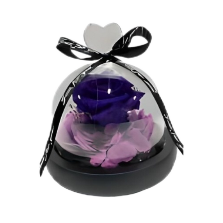 Preserved Flower Forever Rose Dome With Led Light