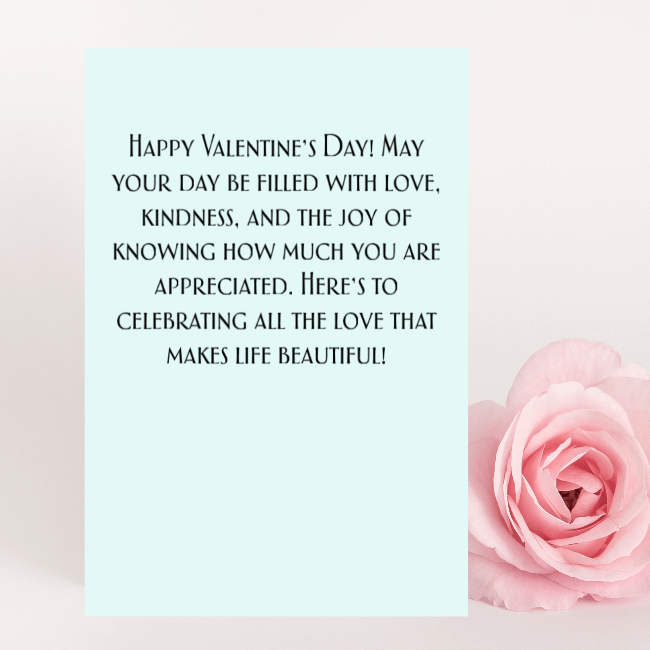 Happy Valentine's Day card with heartfelt message and a pink rose, celebrating love and appreciation.