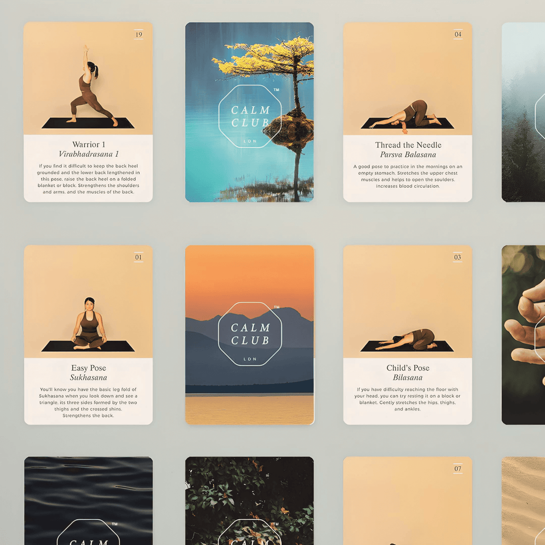 Calm Club Yoga Deck by Luckies showcasing illustrated yoga pose cards for a year-long practice.