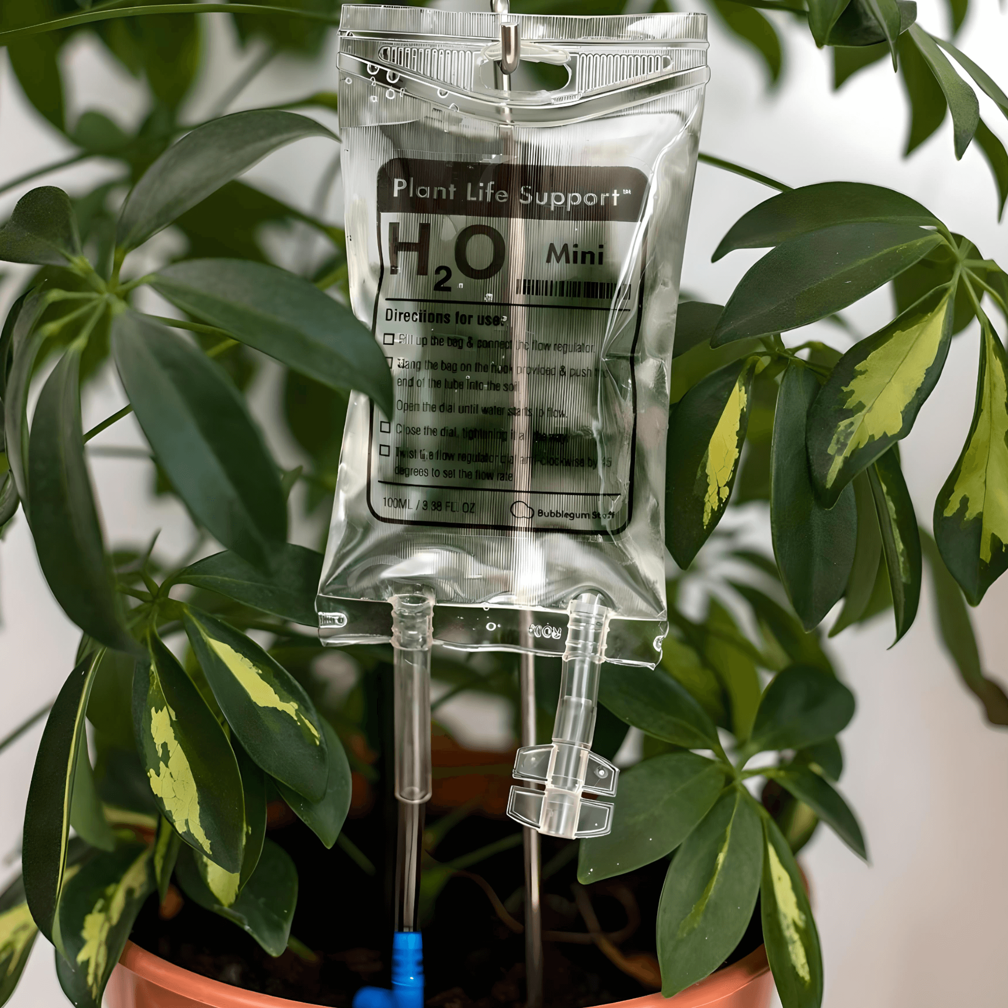 Mini Plant Life Support hanging from a peg, providing hydration to small houseplants and succulents.